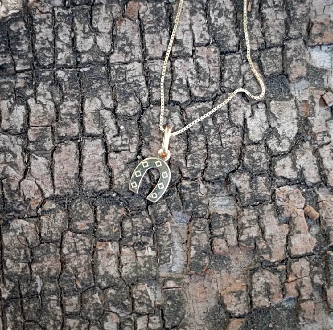 50 pièces pendentif fer à cheval avec porte-bonheur 17 x 12