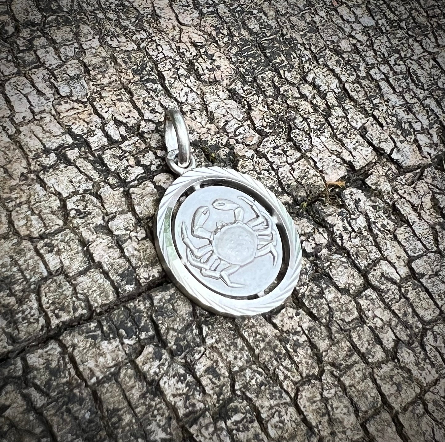 Pendentif signe astrologique du cancer en argent